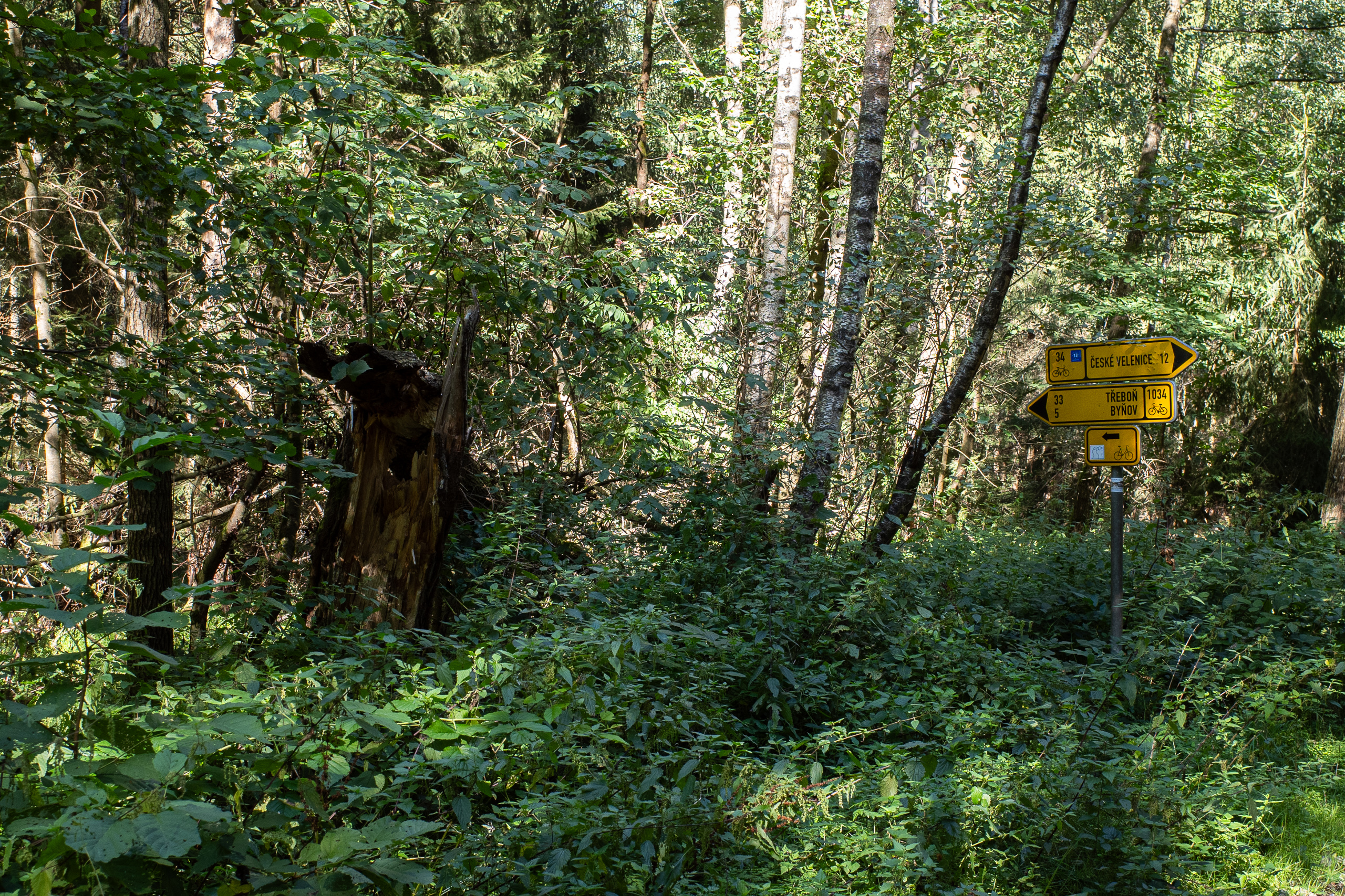 Wegweiser im Wald: 34 nach České Velenice, 33 nach Třeboň